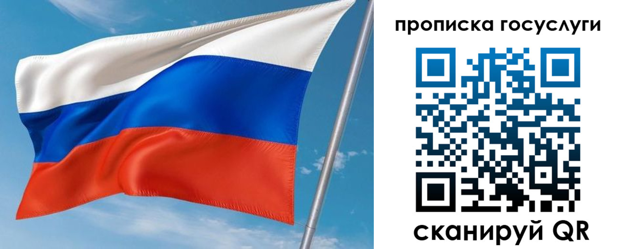 прописка в Нелидово