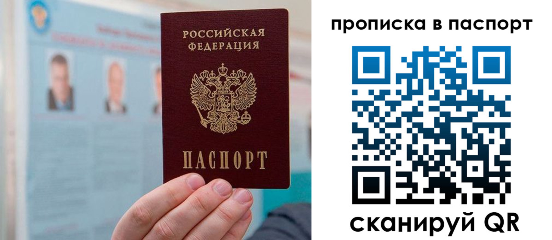 прописка гарантия в Нелидово